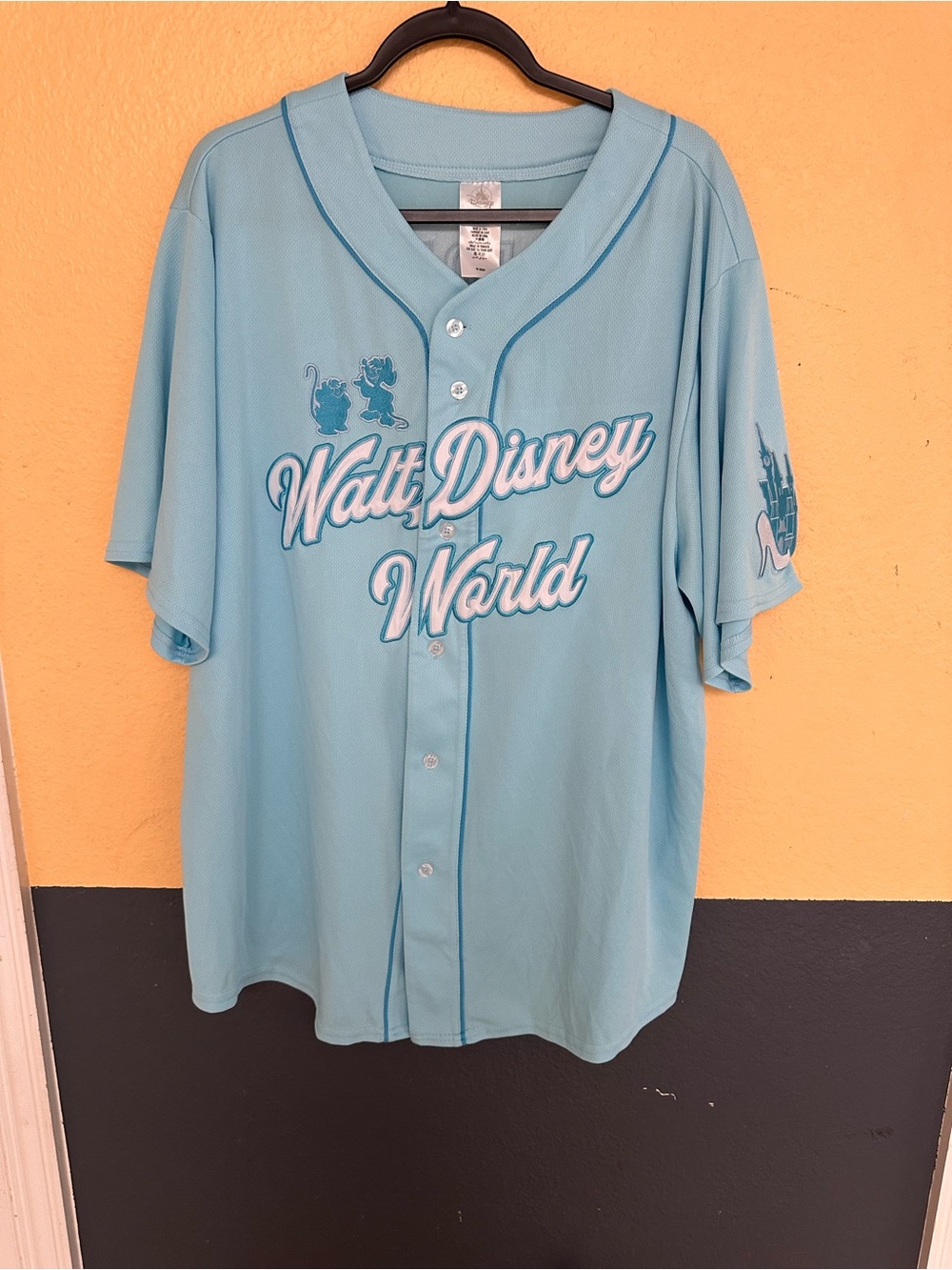 Disney Parks 2025 Walt Disney
World Cinderella Baseball
Jersey NWOT size XL